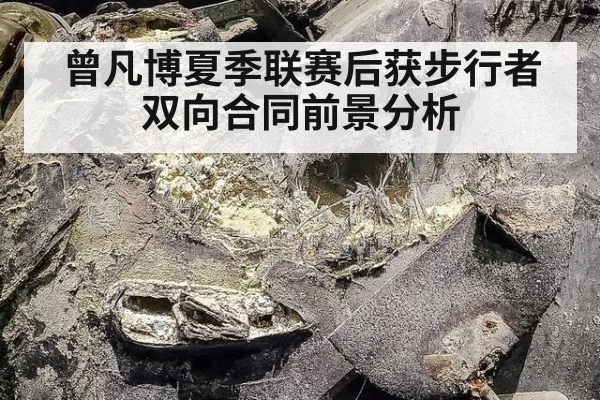 曾凡博夏季联赛后获步行者双向合同前景分析