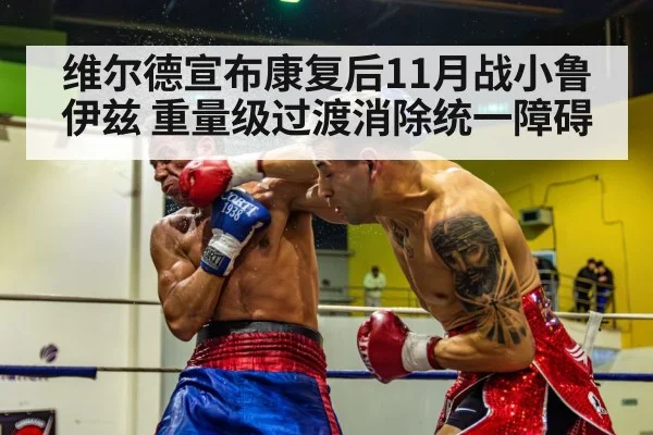 维尔德宣布康复后11月战小鲁伊兹 重量级过渡消除统一障碍